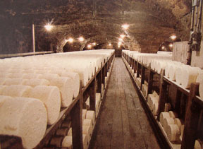 Cave à Roquefort